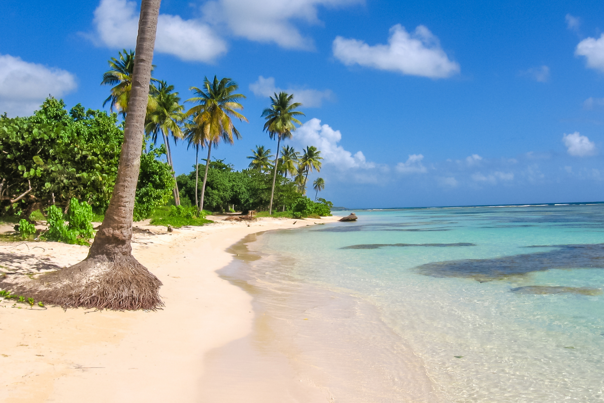 54 guadeloupe.webp